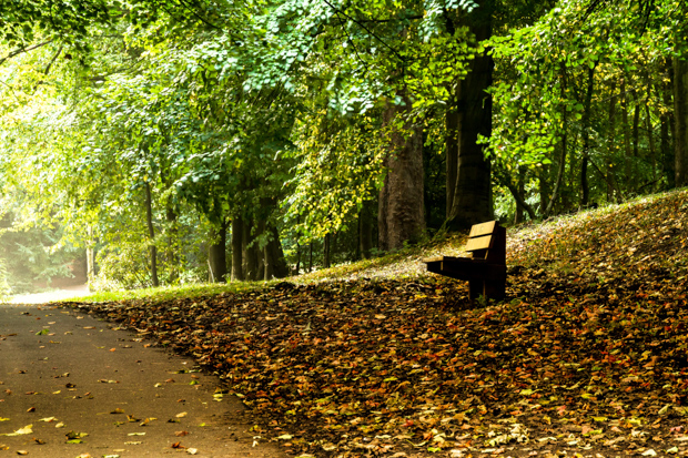 'Vacant Seat' by David Vowles. Image 3